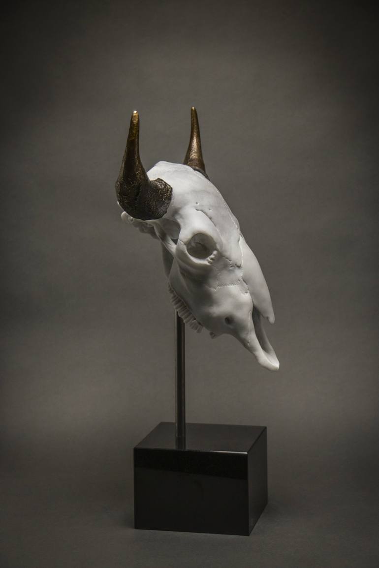 Original Contemporary Animal Sculpture by Marco Di Lucca