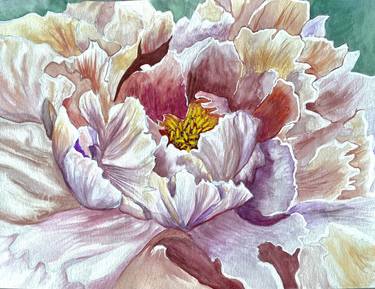 Original Floral Paintings by Olivetta Sapone
