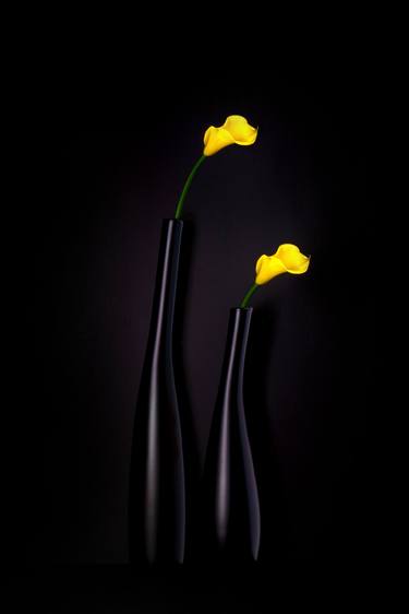 Original Abstract Floral Photography by Kevin Mallett