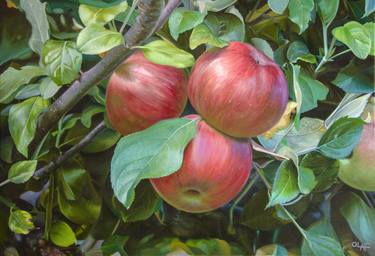 Original Realism Nature Paintings by Olaf Schneider