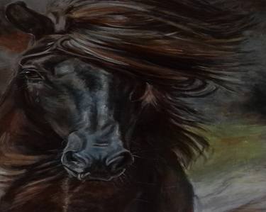 Original Impressionism Animal Paintings by djamel eddine hafis