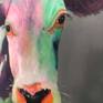 Multi colored cow standing in a bed of Angelica flowers