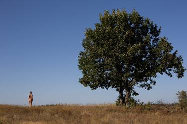 Print of Nature Photography by Constantinos Dendrinos