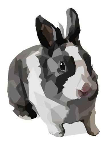 Black and White Rabbit thumb