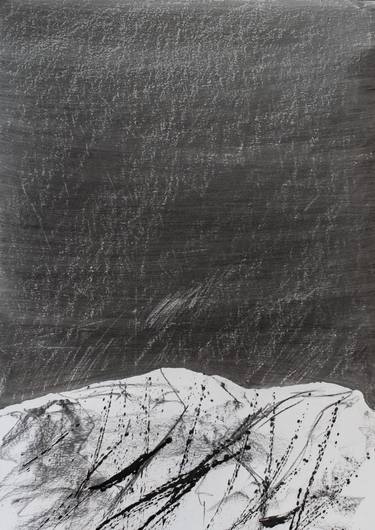Original Realism Nature Drawing by Bogna Woskowicz