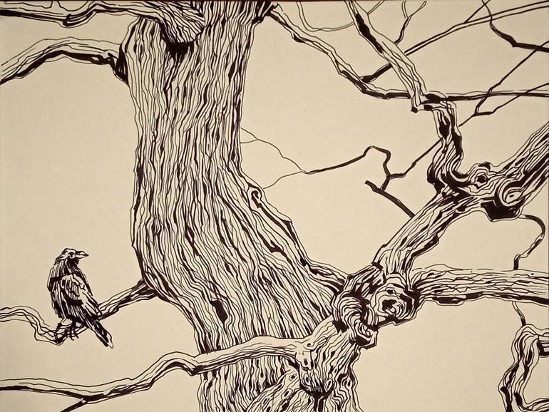 Original Black & White Cats Drawing by Daria Riabinina