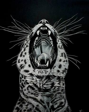Yawning Jaguar thumb