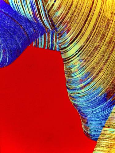Original Abstract Expressionism Abstract Photography by Vanessa Vastag