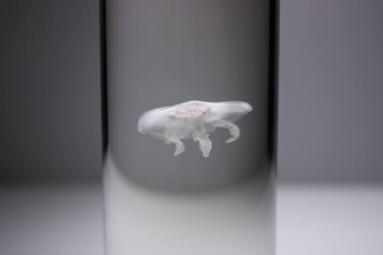 Original Photorealism Nature Sculpture by Esben Horn