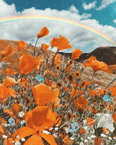 Original Photorealism Floral Digital by Siobhan ODwyer