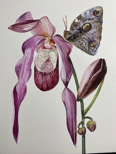 Original Botanic Paintings by Justyna Jez