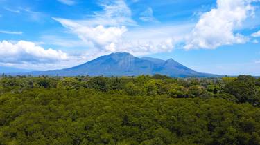 Print of Nature Photography by Indonesia Nature