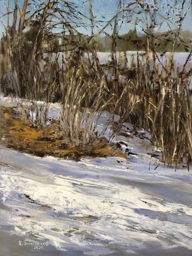 Winter landscape. Reeds and snow. thumb