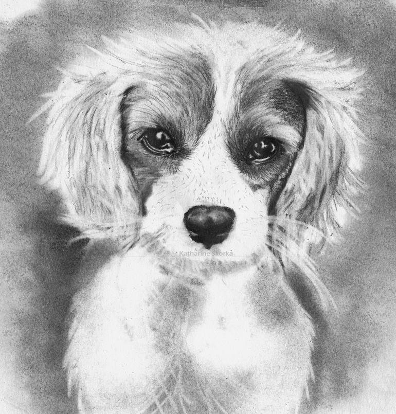 Puppy Eyes Drawing by Katharine Skorka | Saatchi Art