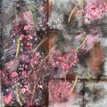 Collection The Softness of Concrete
