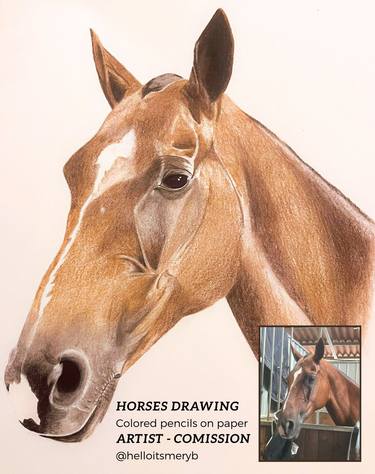 Original Illustration Horse Drawings by Merybperez  