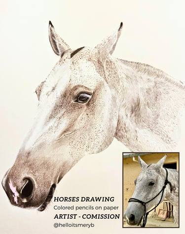 Original Realism Horse Drawings by HelloItsMeryB  
