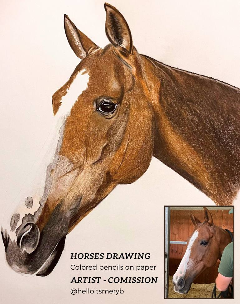 Original Realism Horse Drawing by Merybperez  