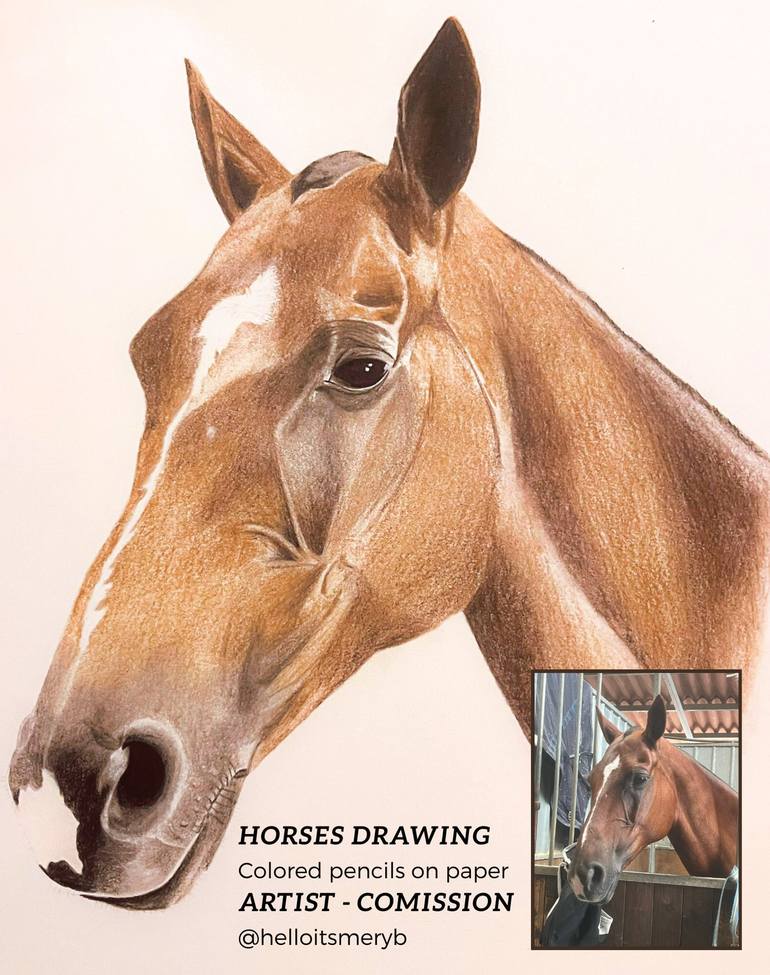 Original Realism Horse Drawing by Merybperez  