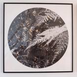 Find Yourself heaven on Earth  - Fern by Anna Zuber