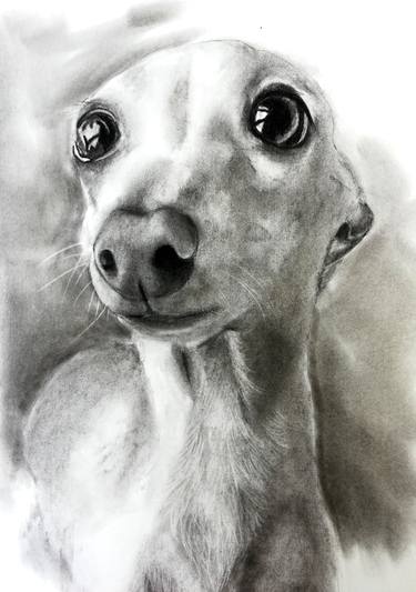 Original Figurative Dogs Drawings by Roberta Dotti