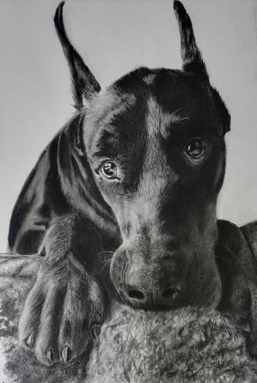 Print of Fine Art Dogs Drawings by Roberta Dotti