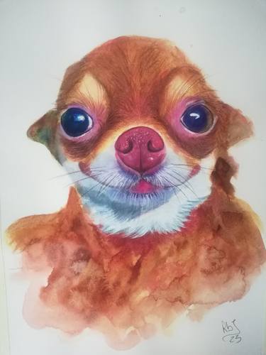 Print of Dogs Paintings by Roberta Dotti