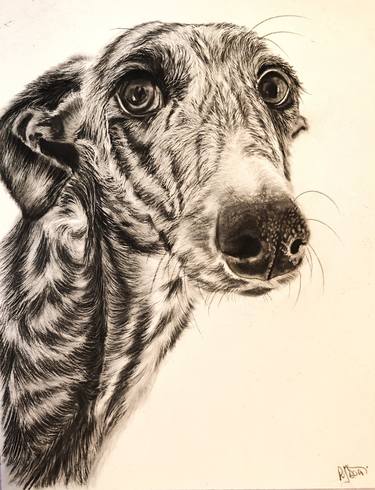 Print of Animal Drawings by Roberta Dotti