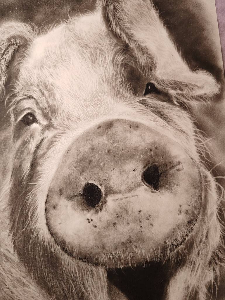 Original Black & White Animal Drawing by Roberta Dotti