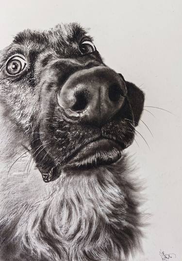 Original Contemporary Animal Drawings by Roberta Dotti