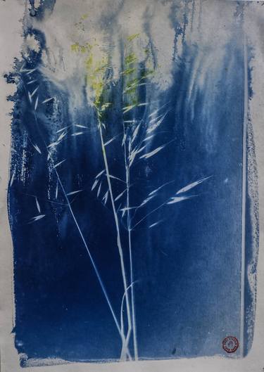 Original Abstract Botanic Photography by Barend Paul Stander