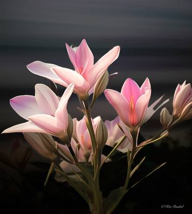 Original Minimalism Floral Digital by Ken Runkel