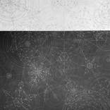 Collection Twilight Tales