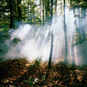 Collection 100 Curators Collection