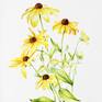 Collection Botanical Painting