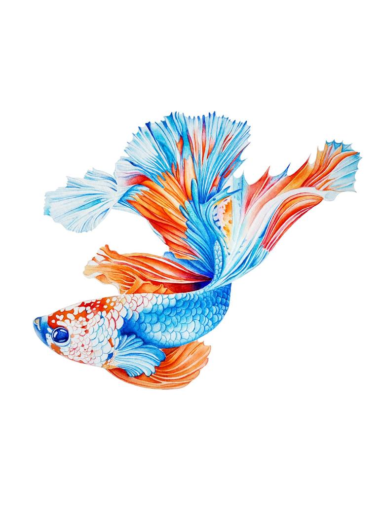 Print of Photorealism Fish Paintings by Tatiana Repesciuc