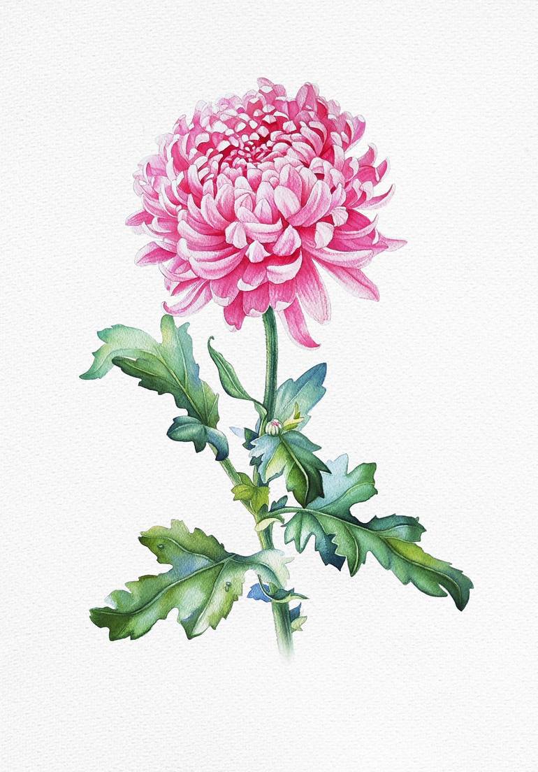 Pink Lush Chrysanthemum Painting by Tatiana Repesciuc | Saatchi Art