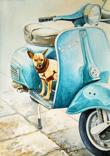 Dog on a Vespa Moped thumb