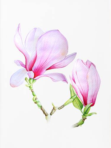 Original Realism Floral Paintings by Tatiana Repesciuc