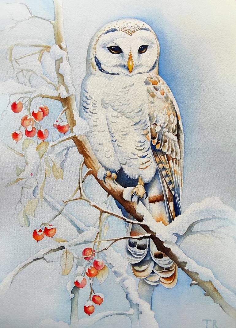 Winter Owl Watercolor Canvas Print