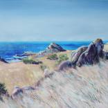 Collection Landscapes & Seascapes