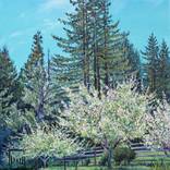 Collection Landscapes & Seascapes
