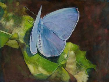 Original Fine Art Nature Paintings by Simon Polkinghorn