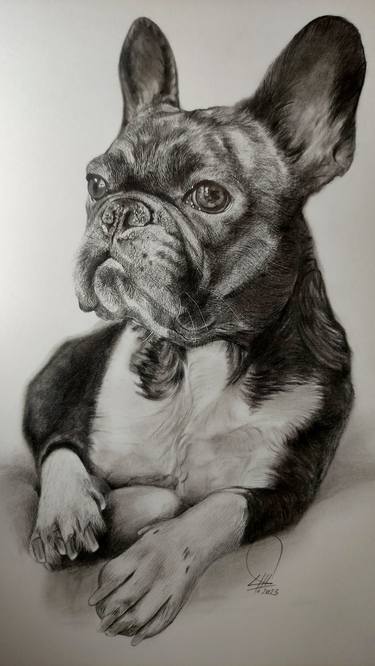 Original Realism Dogs Drawings by Sergio Mancini