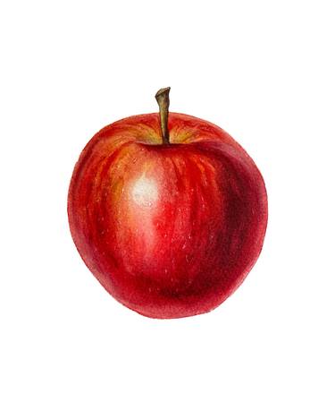 Original Fine Art Still Life Painting by Anna Ostapenko