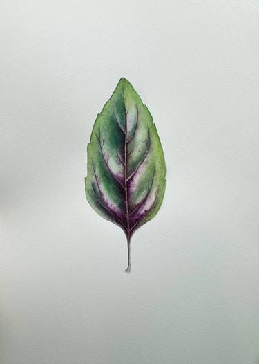Basil leaf - original watercolor botanical plant thumb