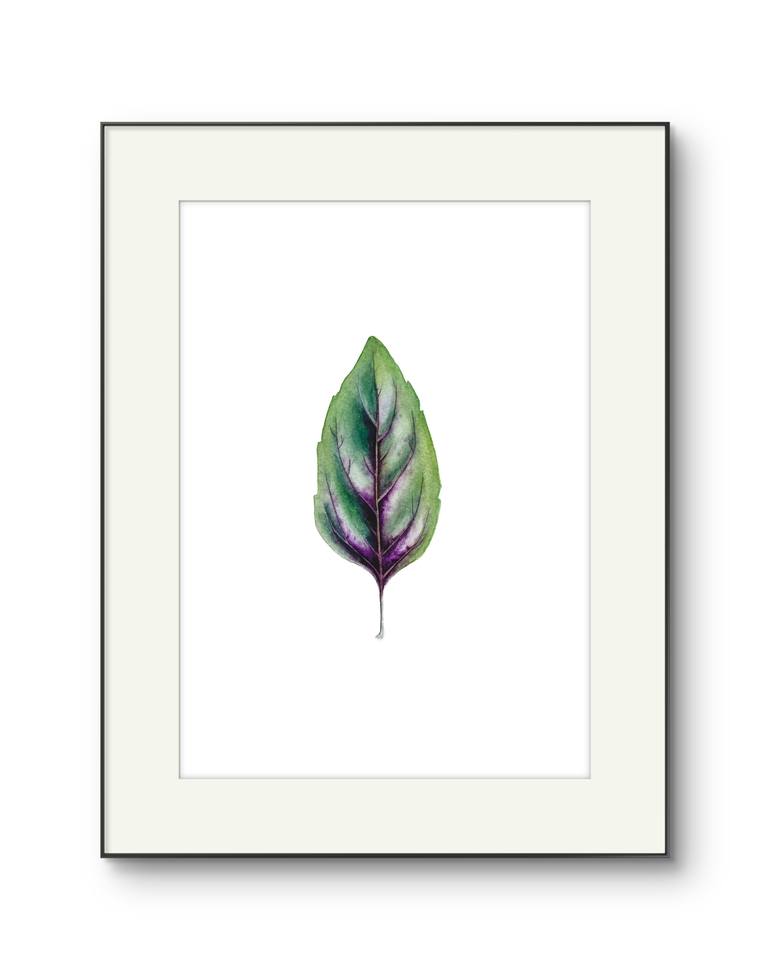 Original Illustration Botanic Painting by Anna Ostapenko