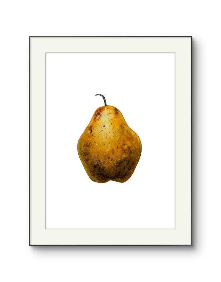 Original Photorealism Still Life Painting by Anna Ostapenko