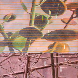 Collection Biophilic Art