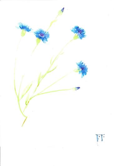 Print of Floral Paintings by DINCUFF Etienne